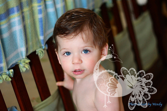 IMG_9584_pp copy